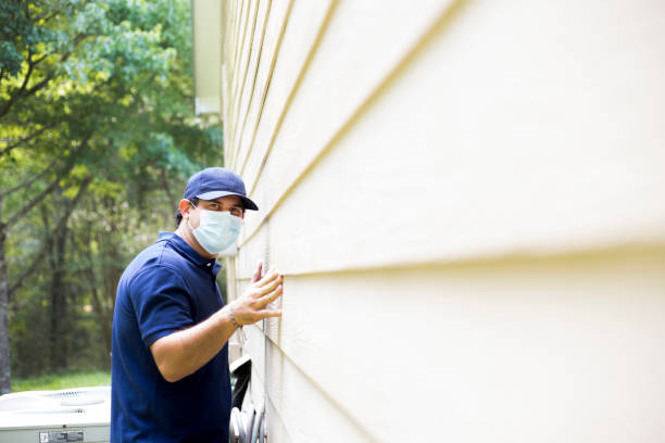 Best Custom Trim and Detailing for Siding  in Balcones Heights, TX